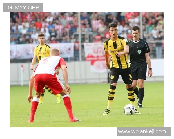 公牛队与灰熊队激战正酣谁将赢得这场精彩对决的胜利 公牛队与灰熊队激战正酣谁将赢得这场精彩对决的胜利