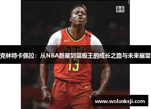 克林特卡佩拉：从NBA新星到篮板王的成长之路与未来展望